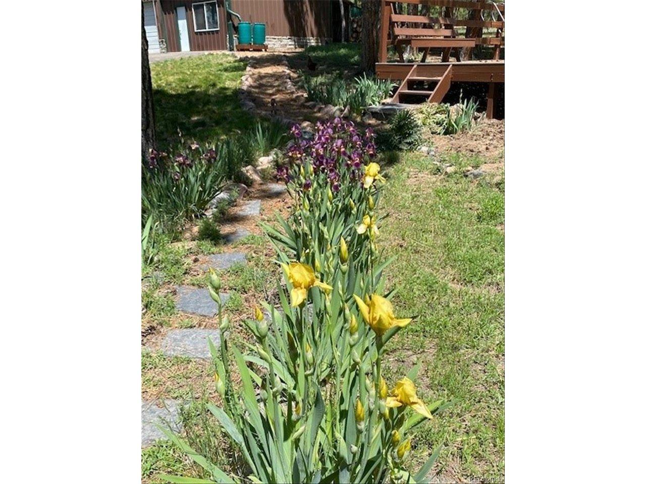 Cedar Way, Elizabeth, CO 80107