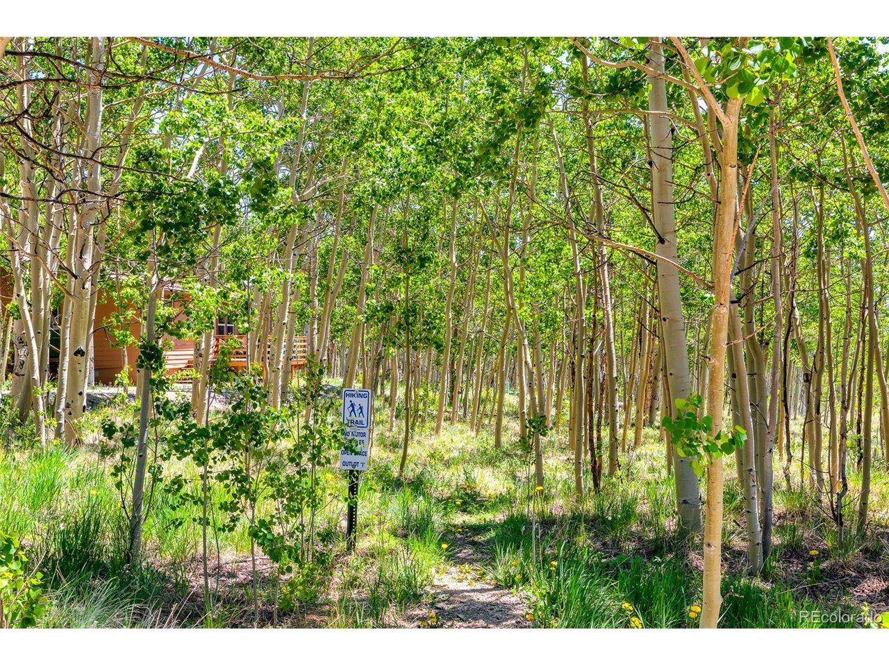 High Creek Rd, Fairplay, CO 80440