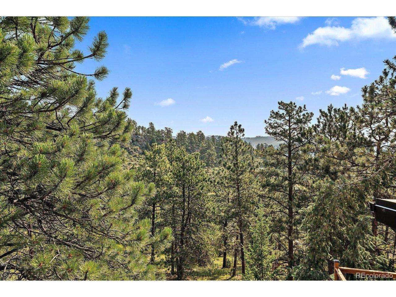 Bunny Rd, Bailey, CO 80421
