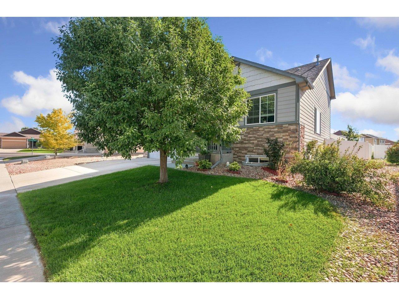 Shadowbrook Dr, Windsor, CO 80550