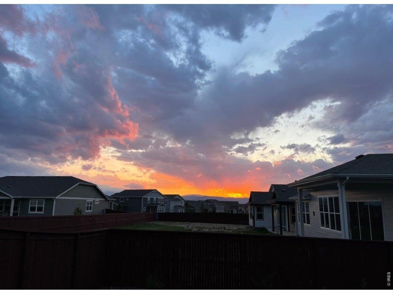 Abundance Dr, Windsor, CO 80550