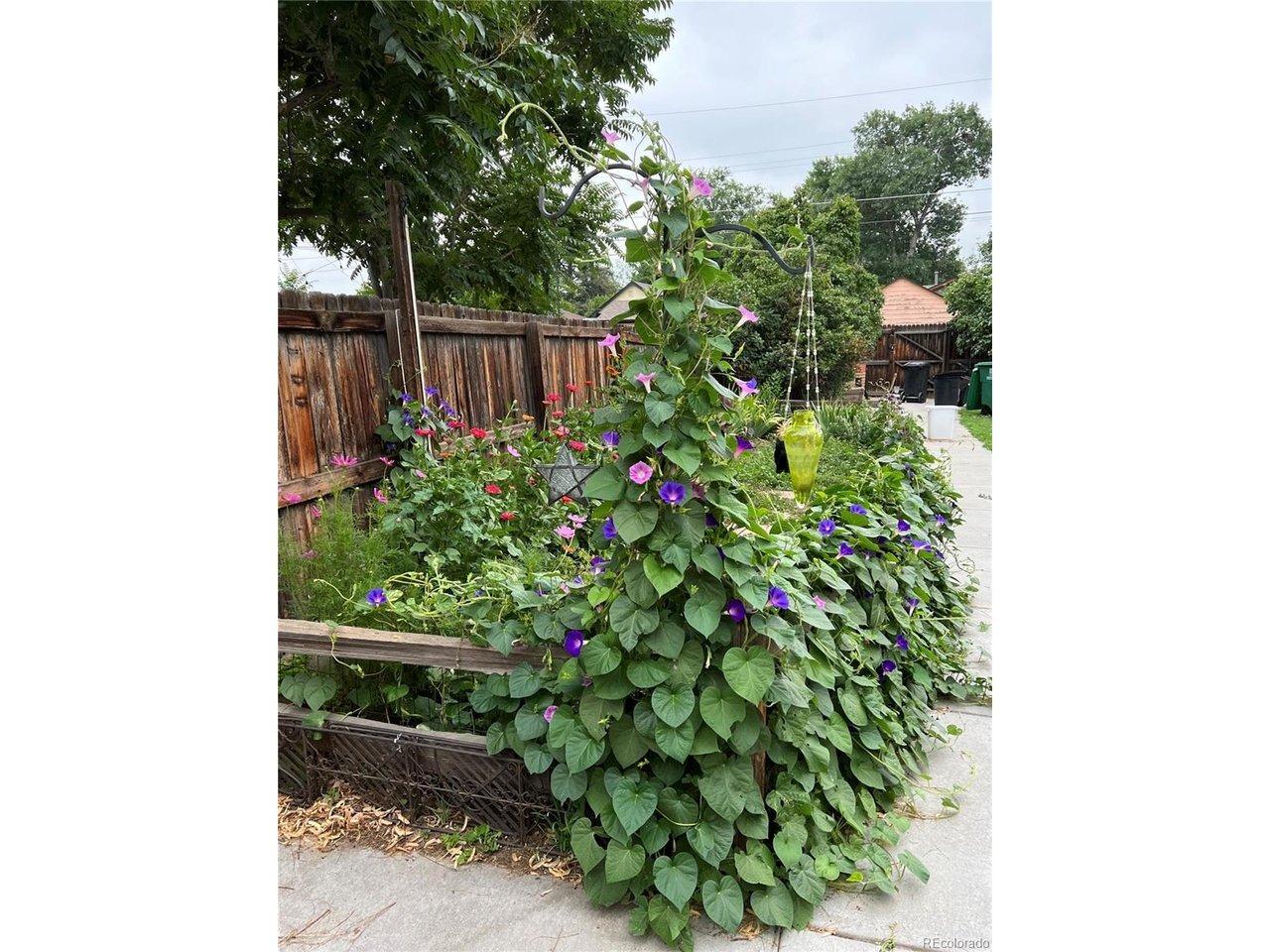 Valentia St, Denver, CO 80220