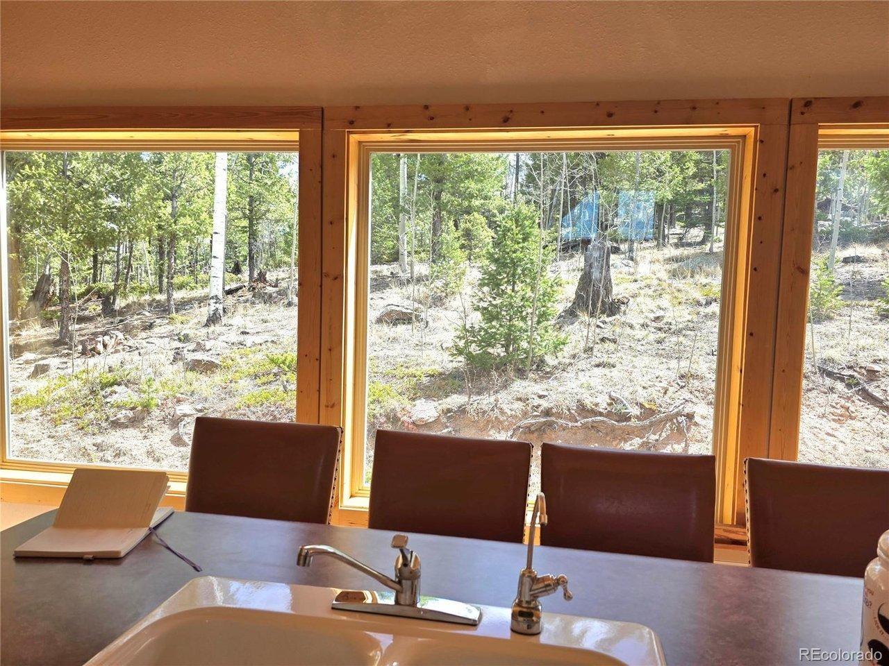 Eagle Rock Rd, Florissant, CO 80816