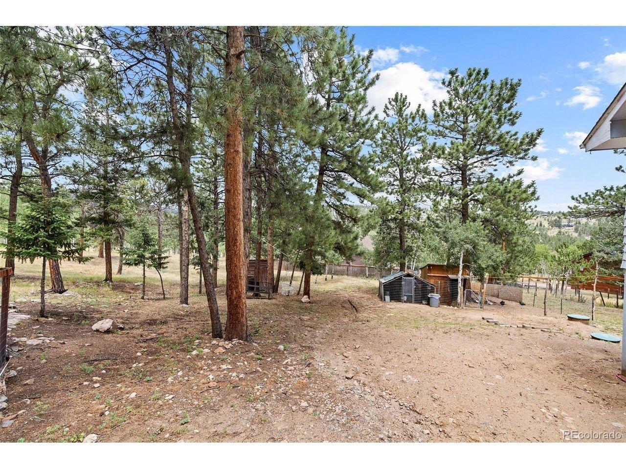 Yew Ln, Bailey, CO 80421
