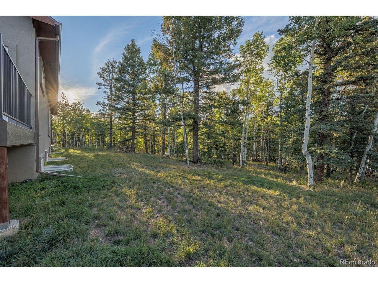 Aspen Village Rd, Divide, CO 80814