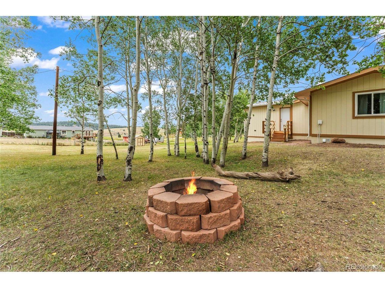 Will Scarlet Dr, Divide, CO 80814