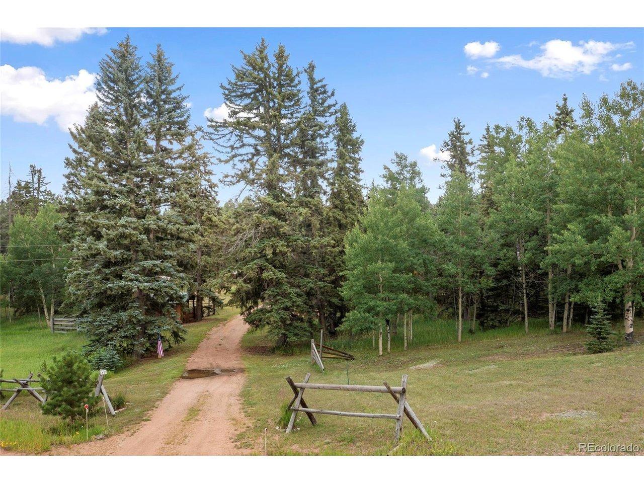 Daniwood Grv, Florissant, CO 80816