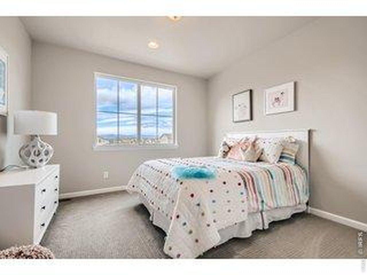 Noola St, Windsor, CO 80550