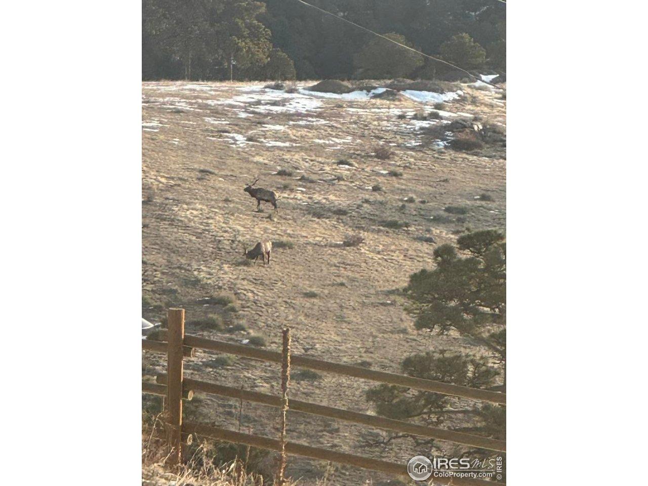 Thea Gulch Rd, Golden, CO 80403