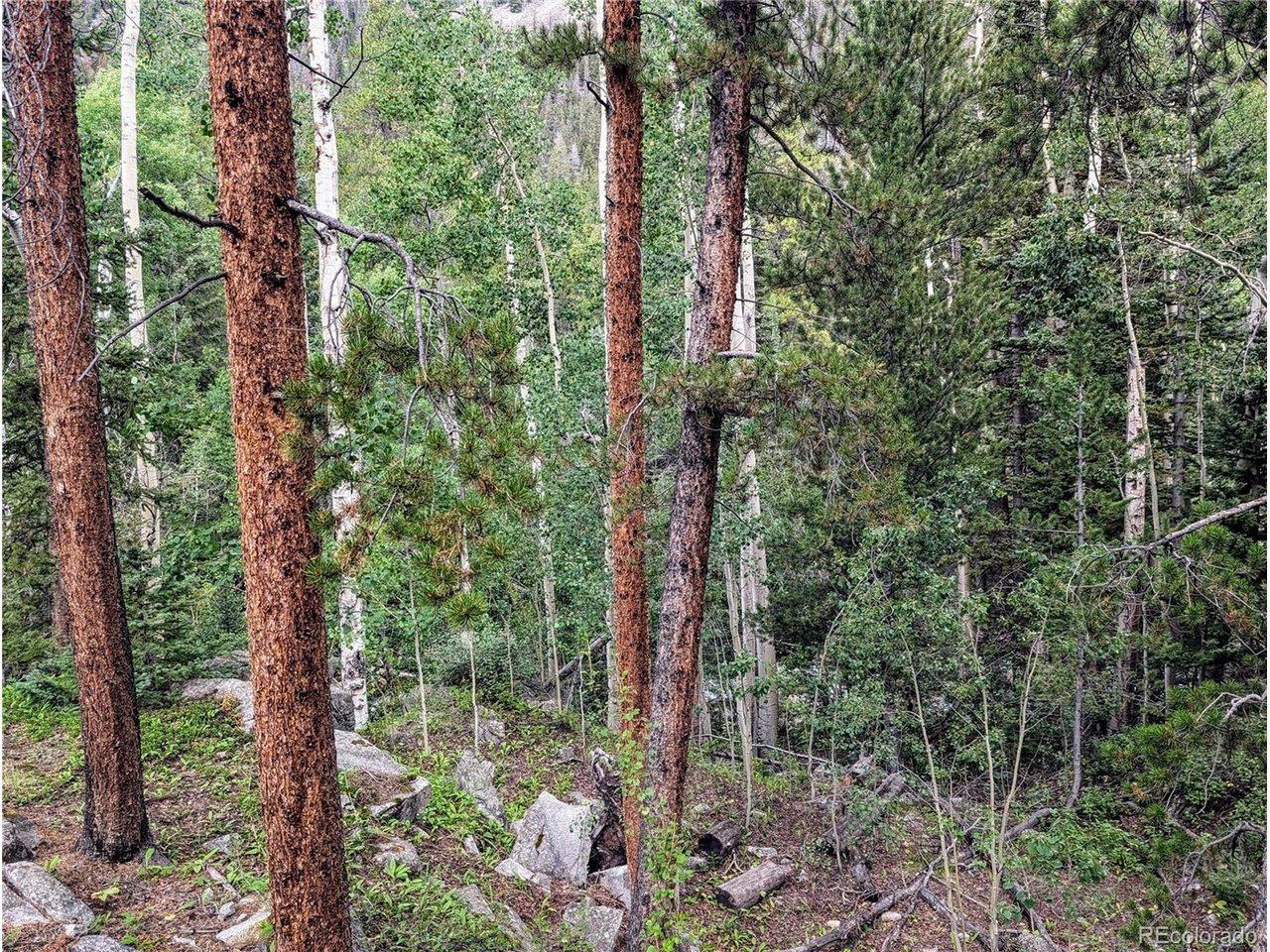 County Road 162, Nathrop, CO 81236
