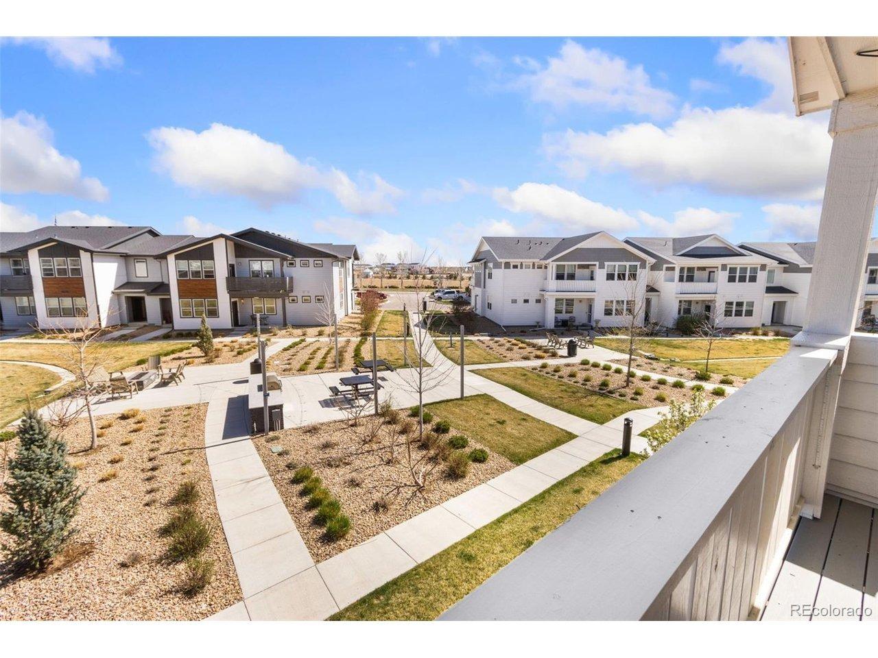 Bounty Dr, Windsor, CO 80550