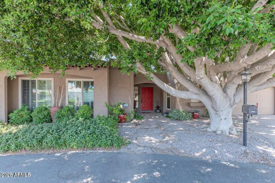 E Rose Ln, Scottsdale, AZ 85250