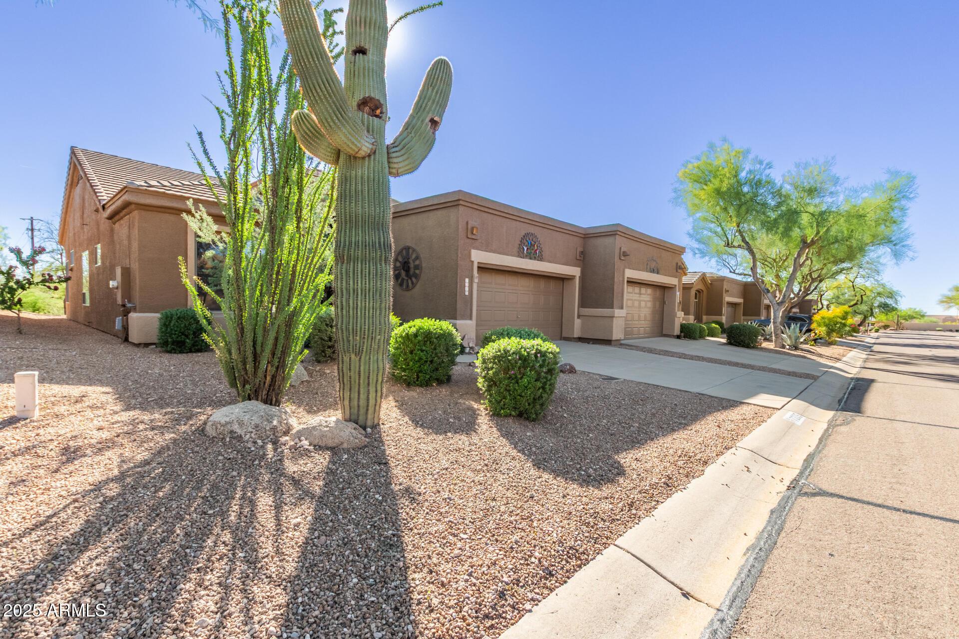 E Palo Brea Dr, Gold Canyon, AZ 85118