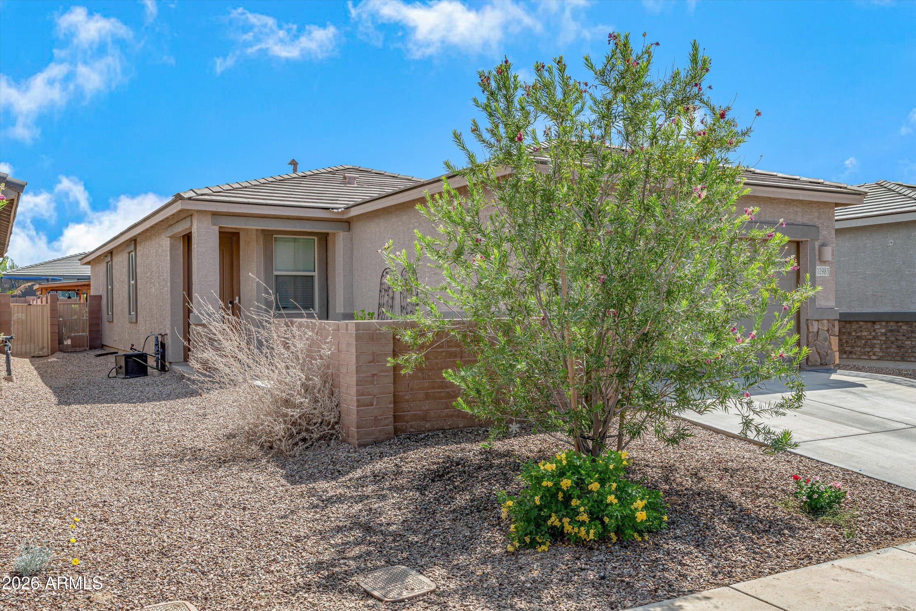 W Rodeo Trl, Marana, AZ 85653