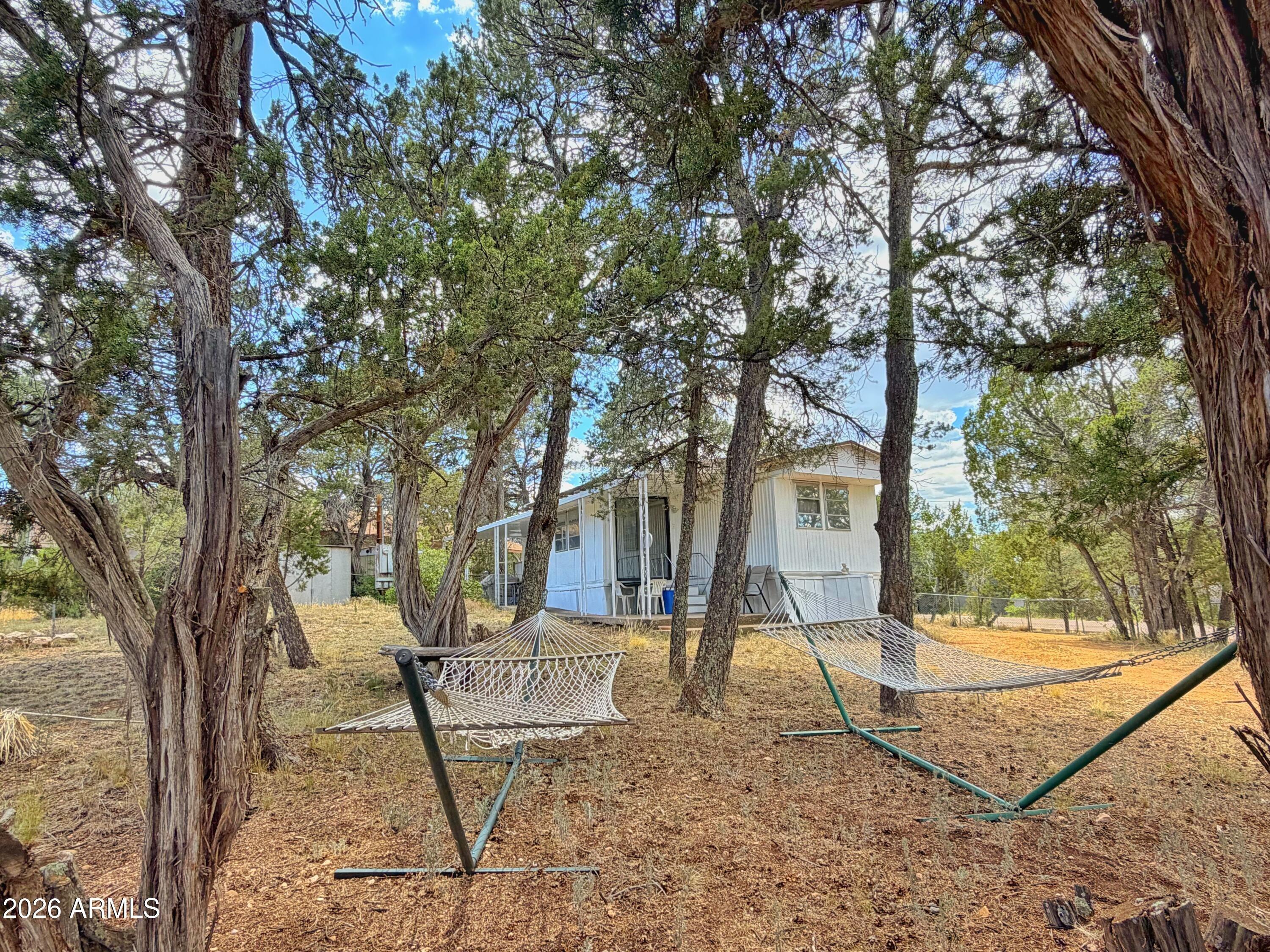 Buckhorn Bend Rd, Overgaard, AZ 85933