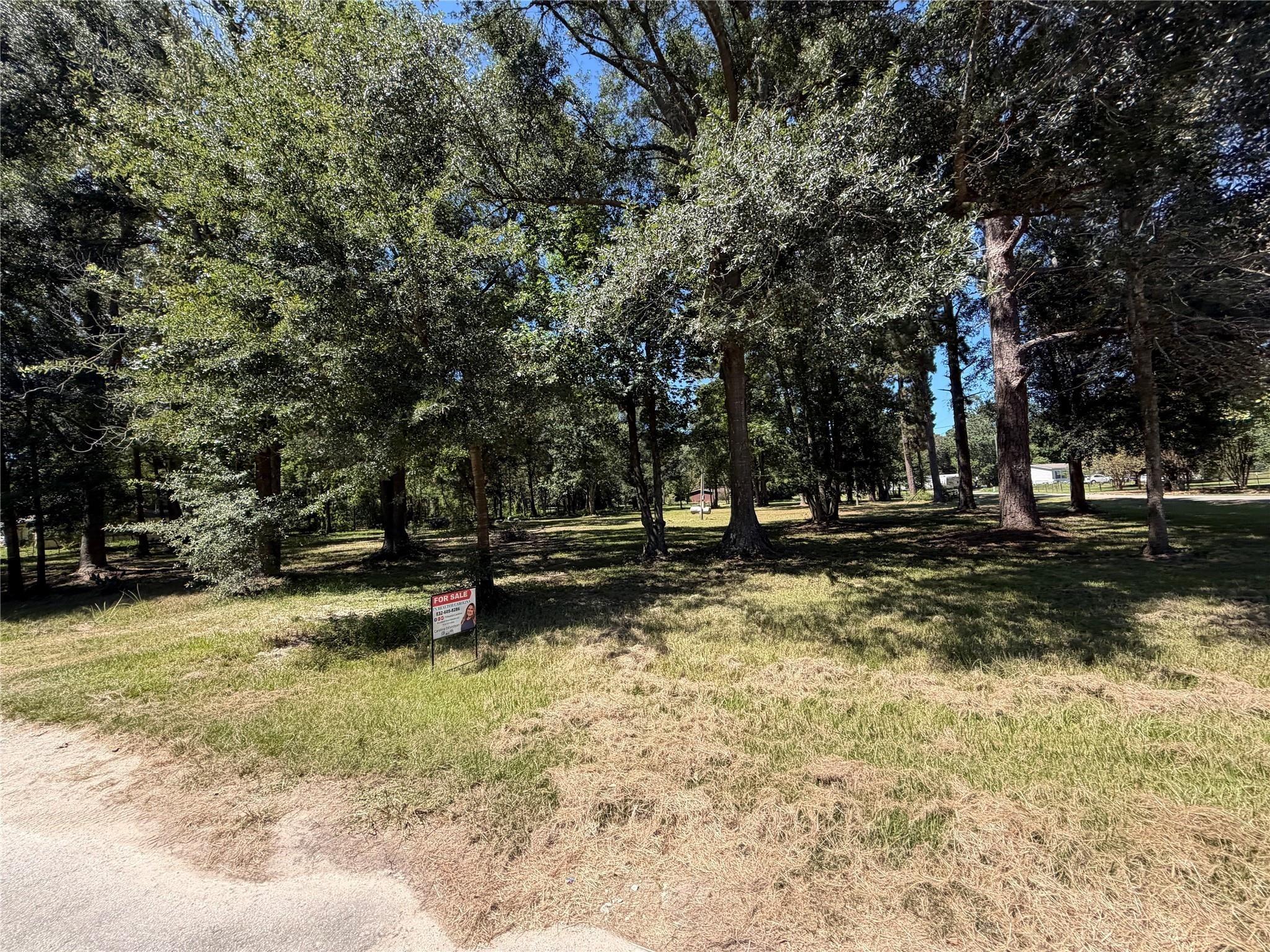 Pine Burr Ct, Cleveland, TX 77327