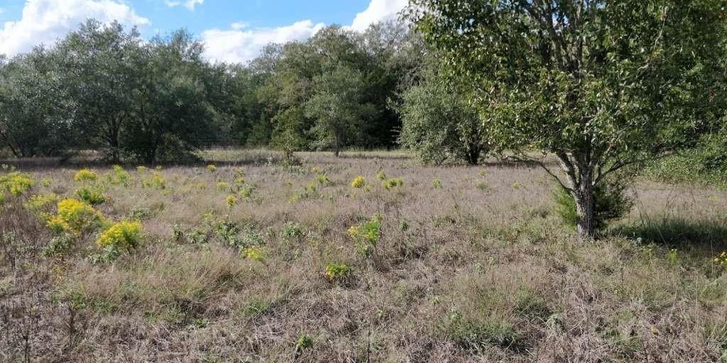 Jackson Rd, La Grange, TX 78945