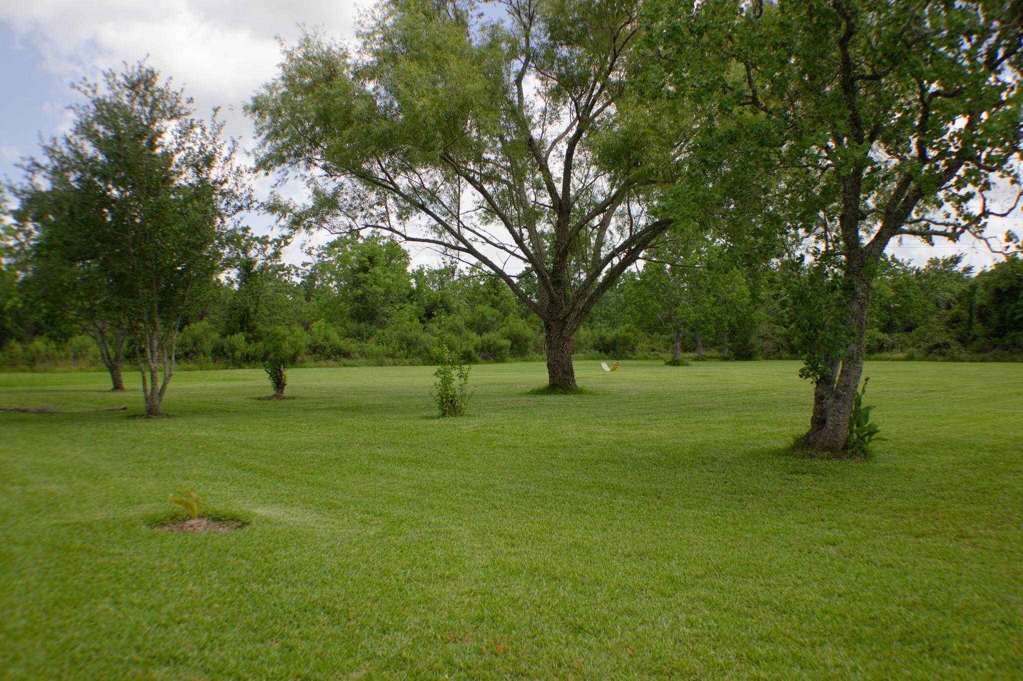 Virginia Ave, League City, TX 77573