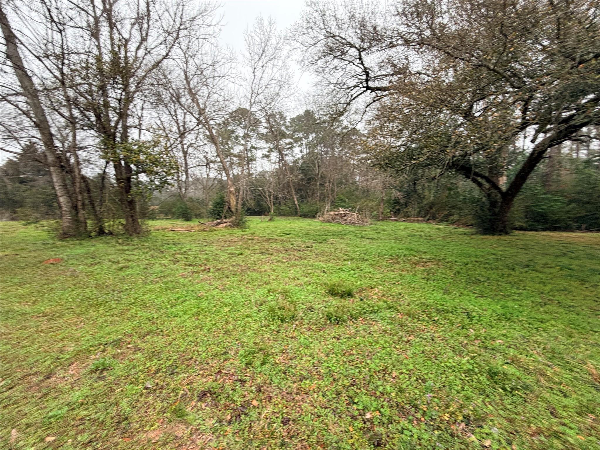N Wheeler Rd, Colmesneil, TX 75938