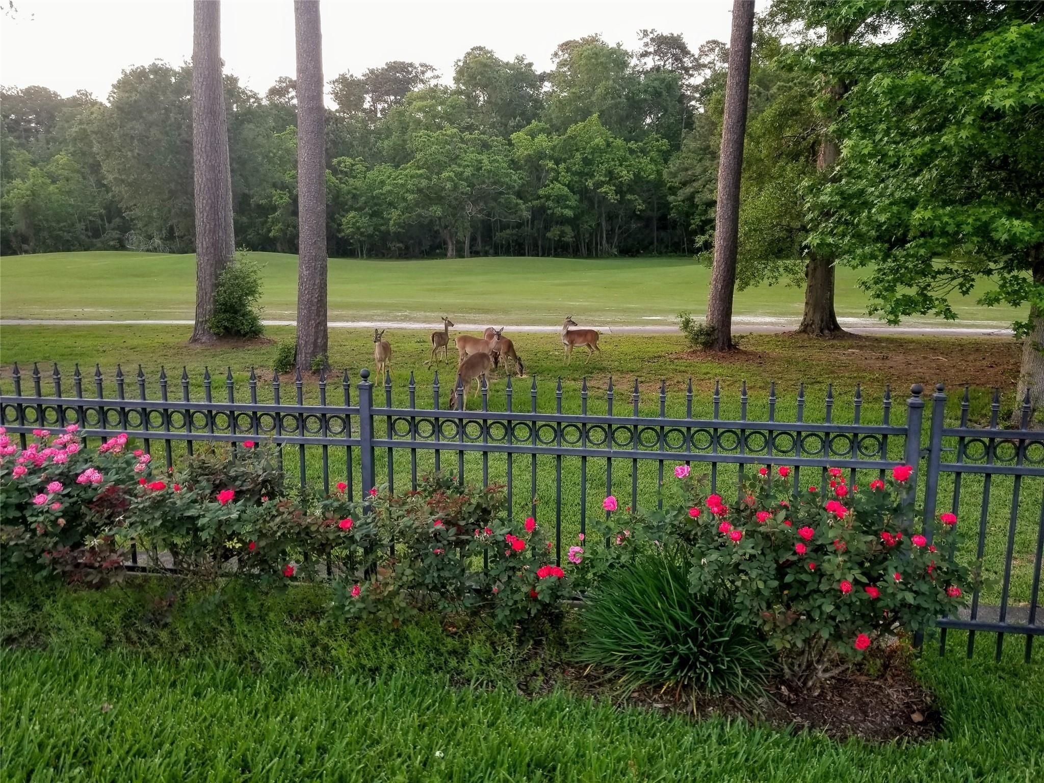 N Cotswold Manor Dr, Kingwood, TX 77339