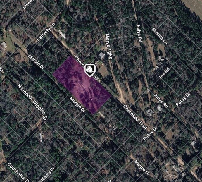 Cherokee Trl, Livingston, TX 77351