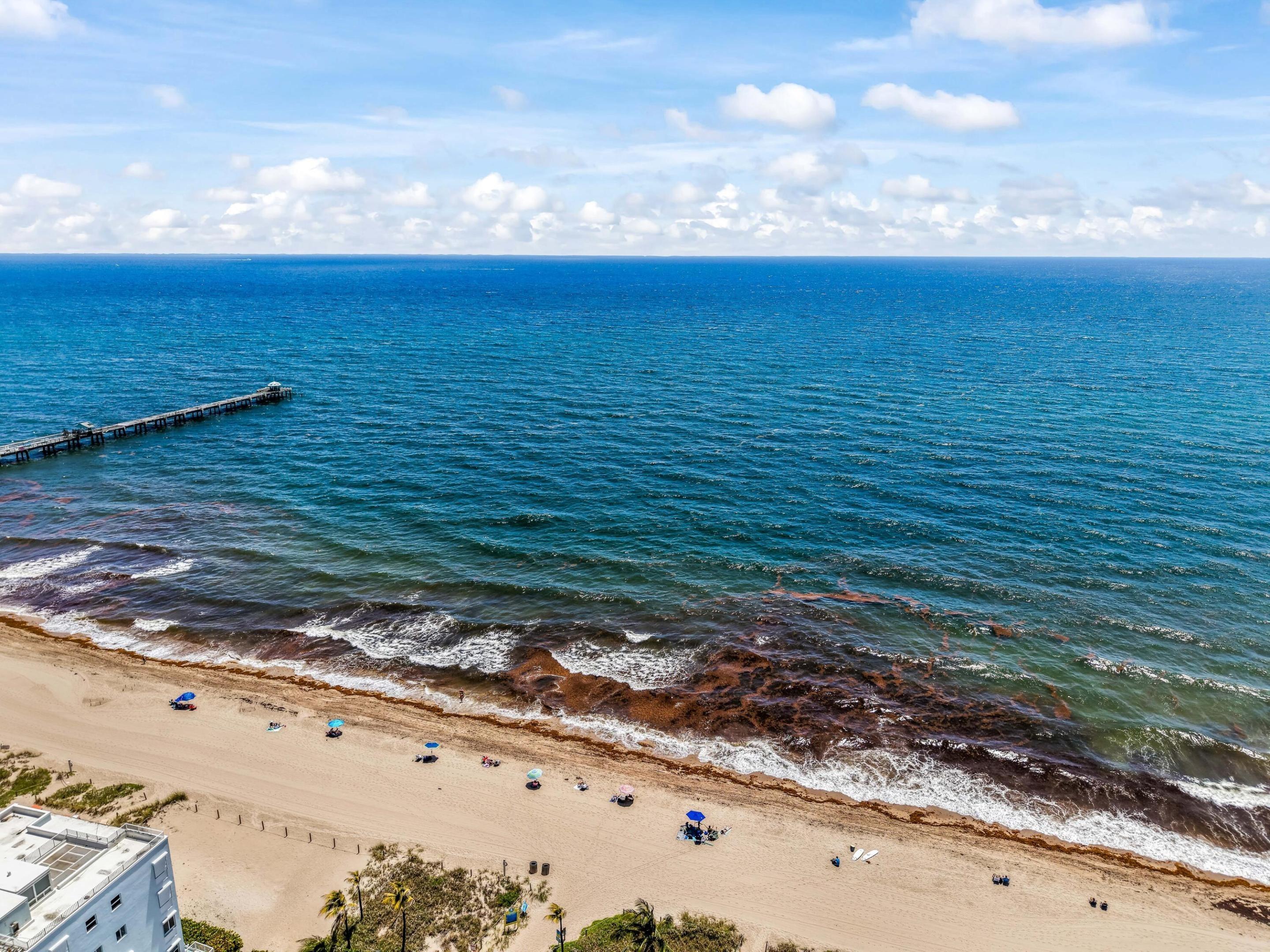 Hibiscus Ave, Lauderdale By The Sea, FL 33308