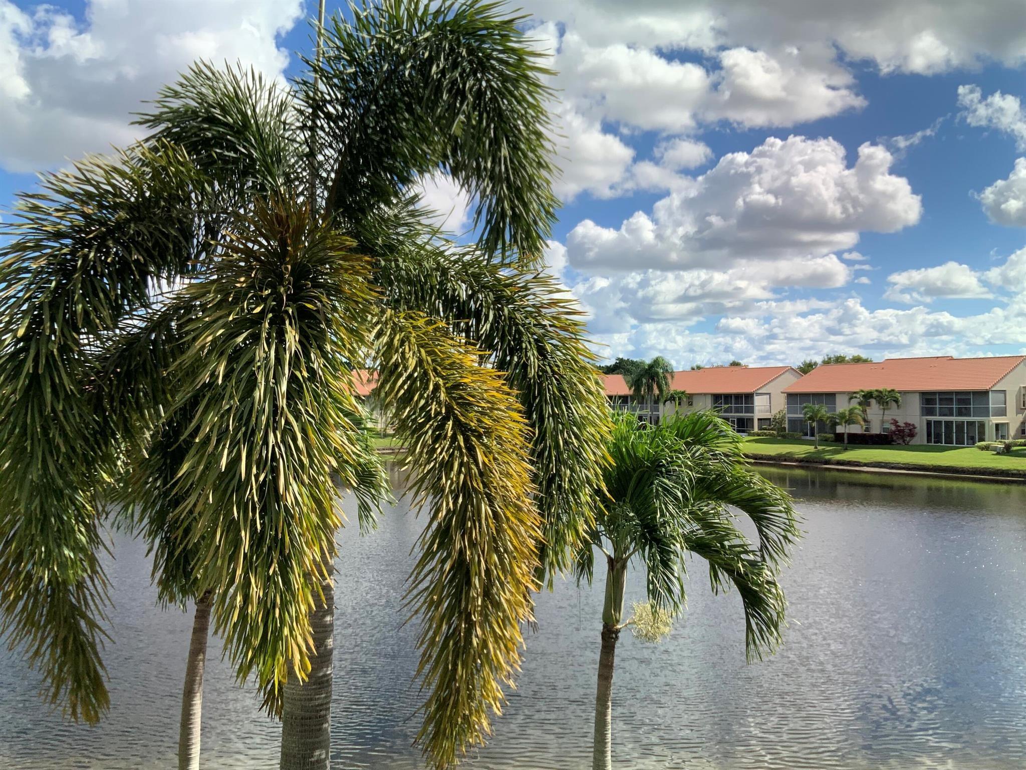 Emerald Lake Dr, Delray Beach, FL 33446