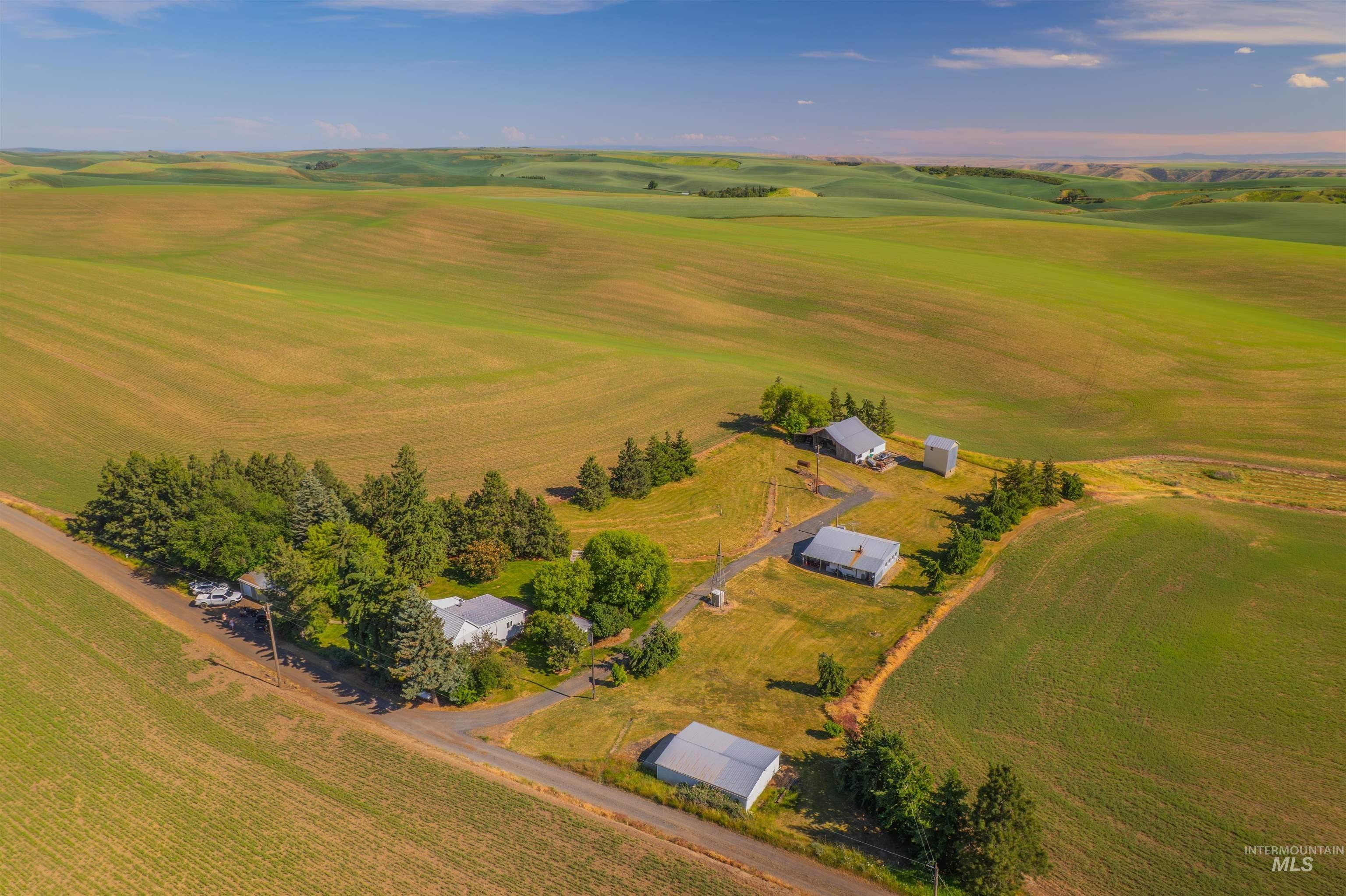 Boone Hill Rd, Pullman, WA 99163