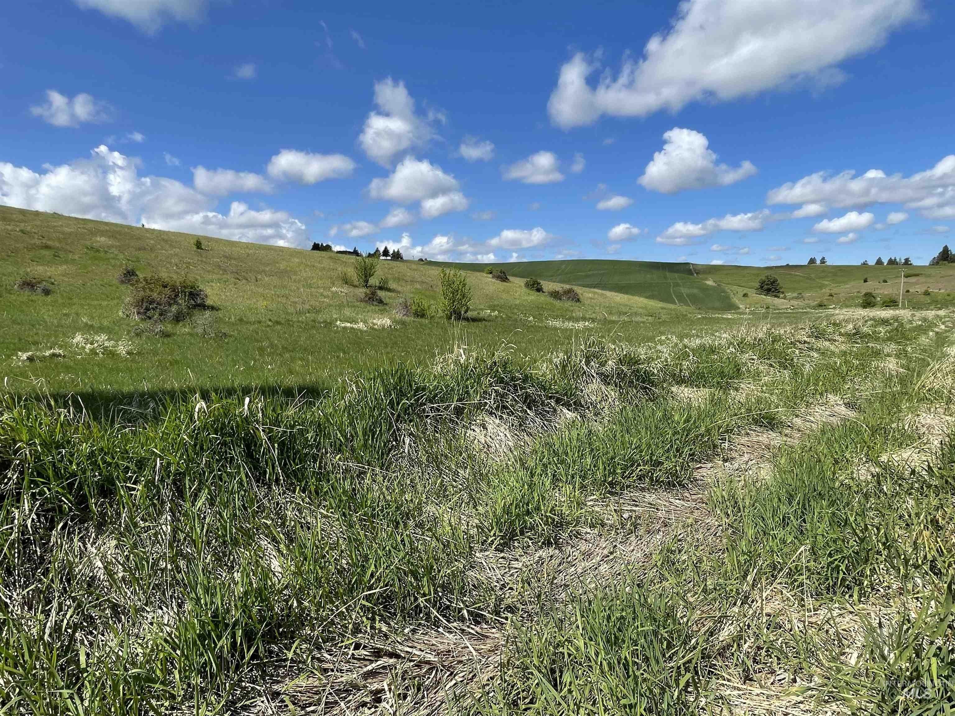 Blaine Rd, Moscow, ID 83843