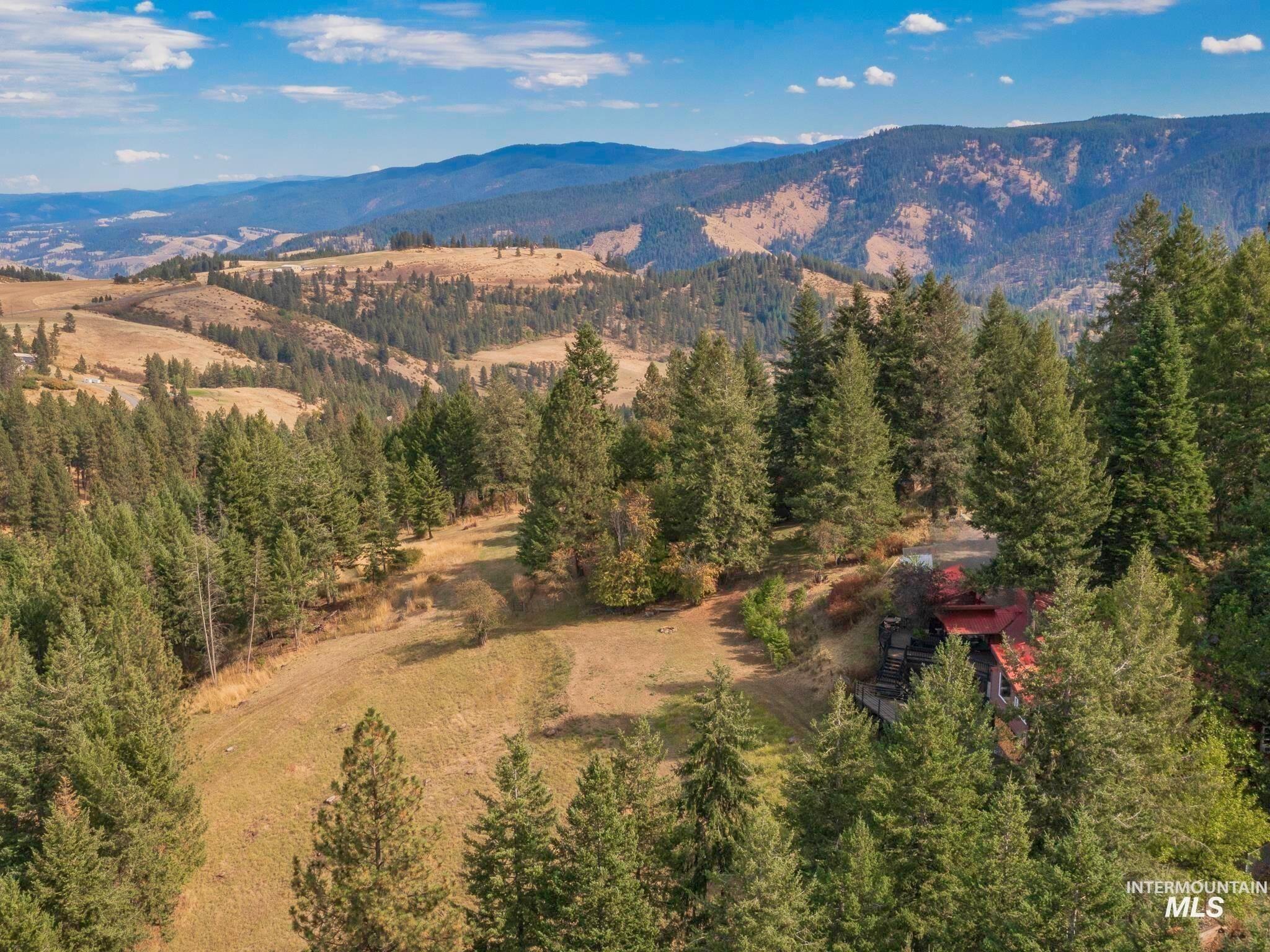 Black Tail Ln, Grangeville, ID 83530