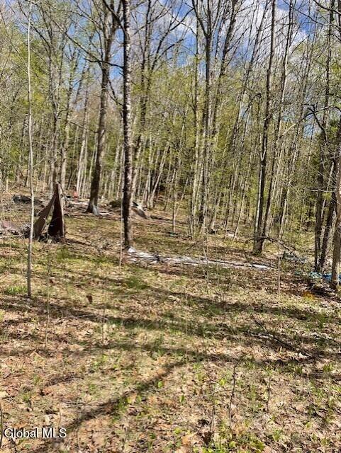 Nys Route 30, Northville, NY 12134