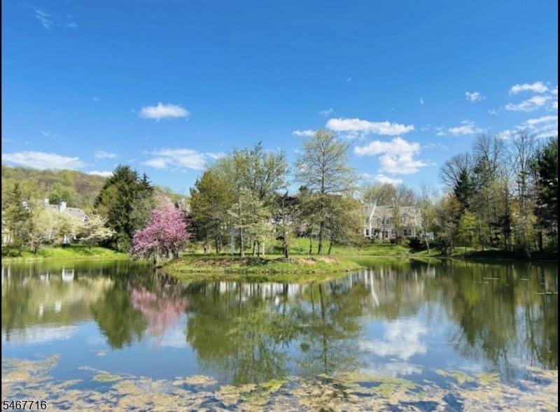 Teal Ln, Bedminster, NJ 07921