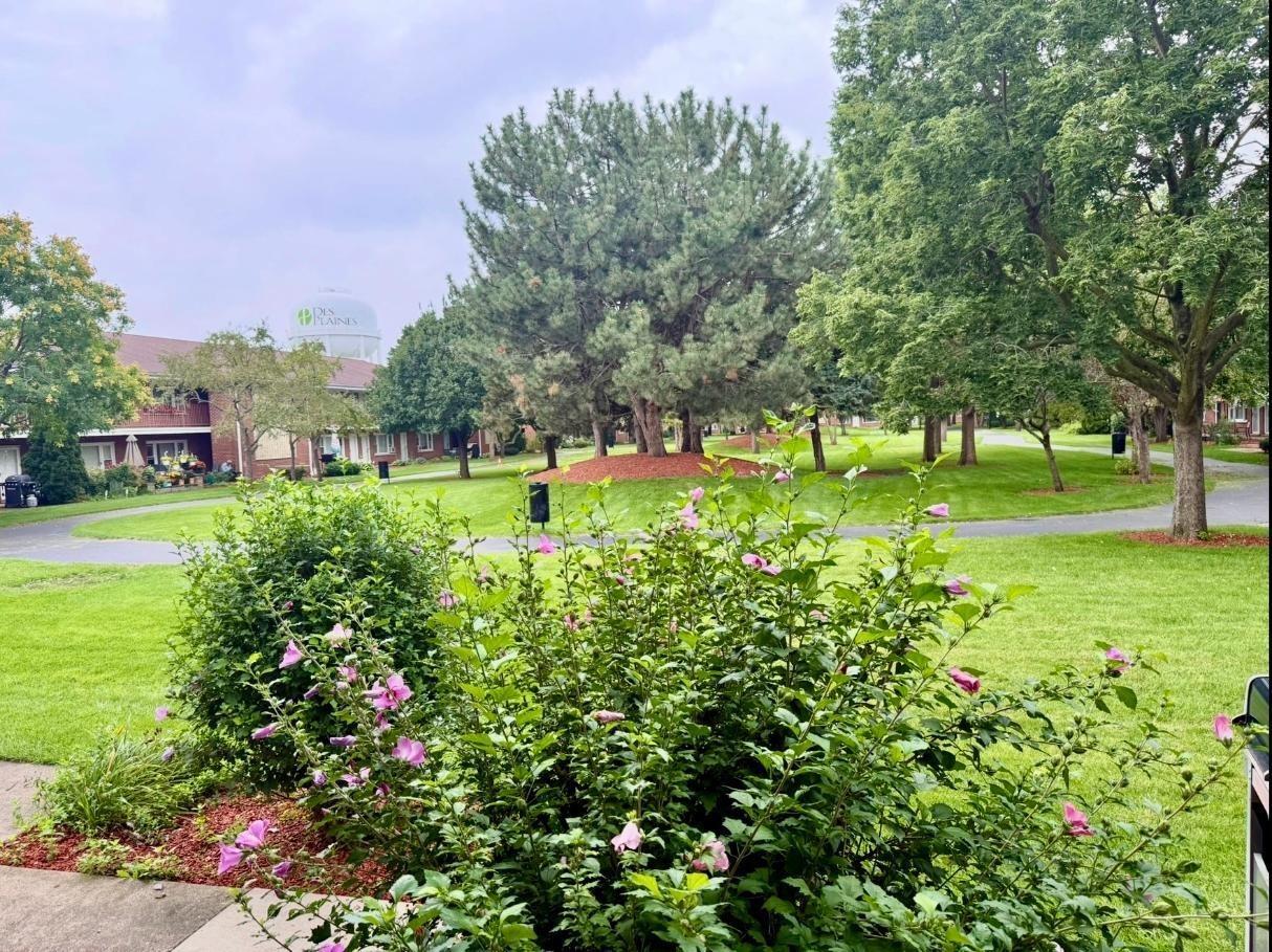 Dover Dr, Des Plaines, IL 60018