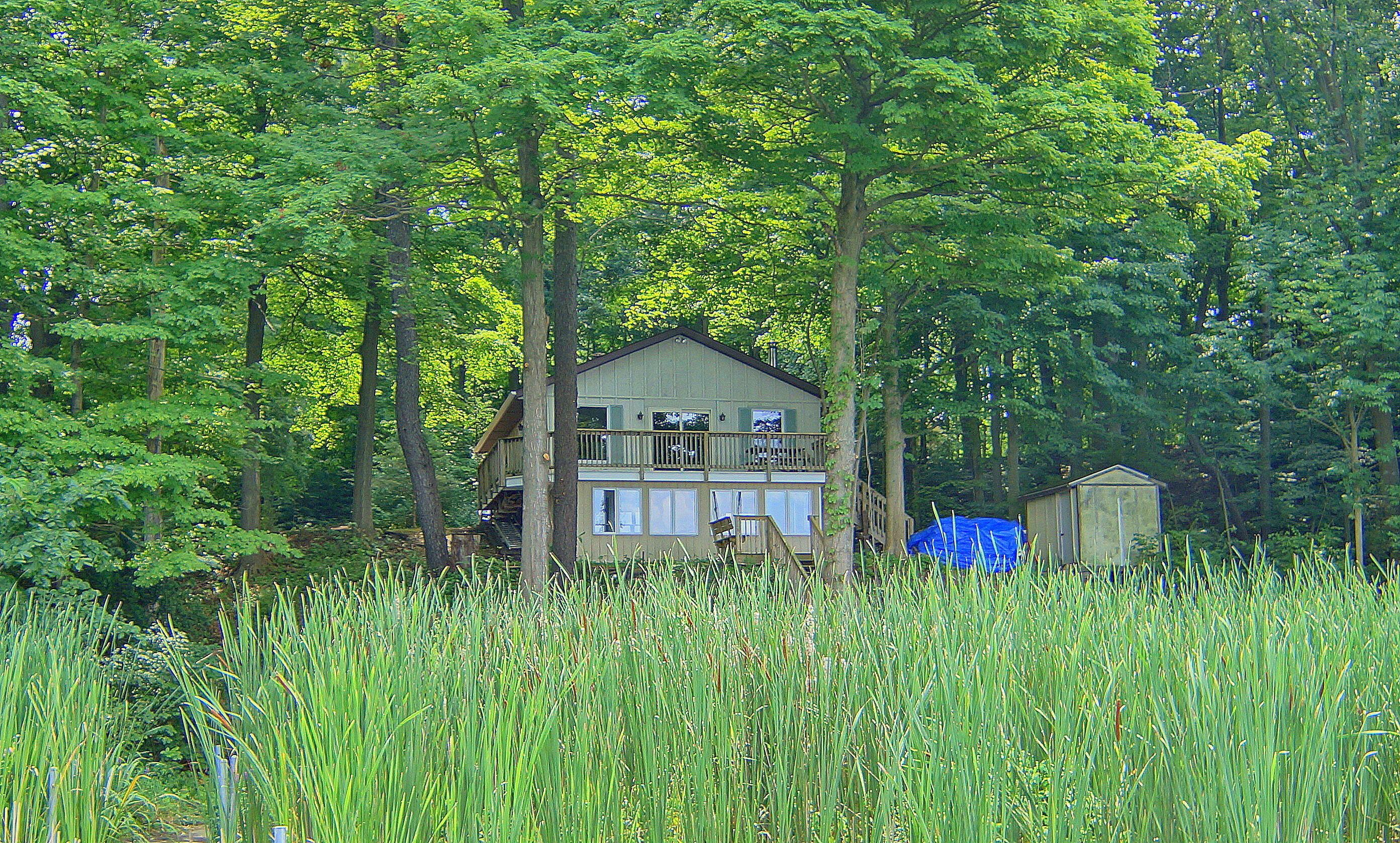 Kings Ln, Berrien Springs, MI 49103