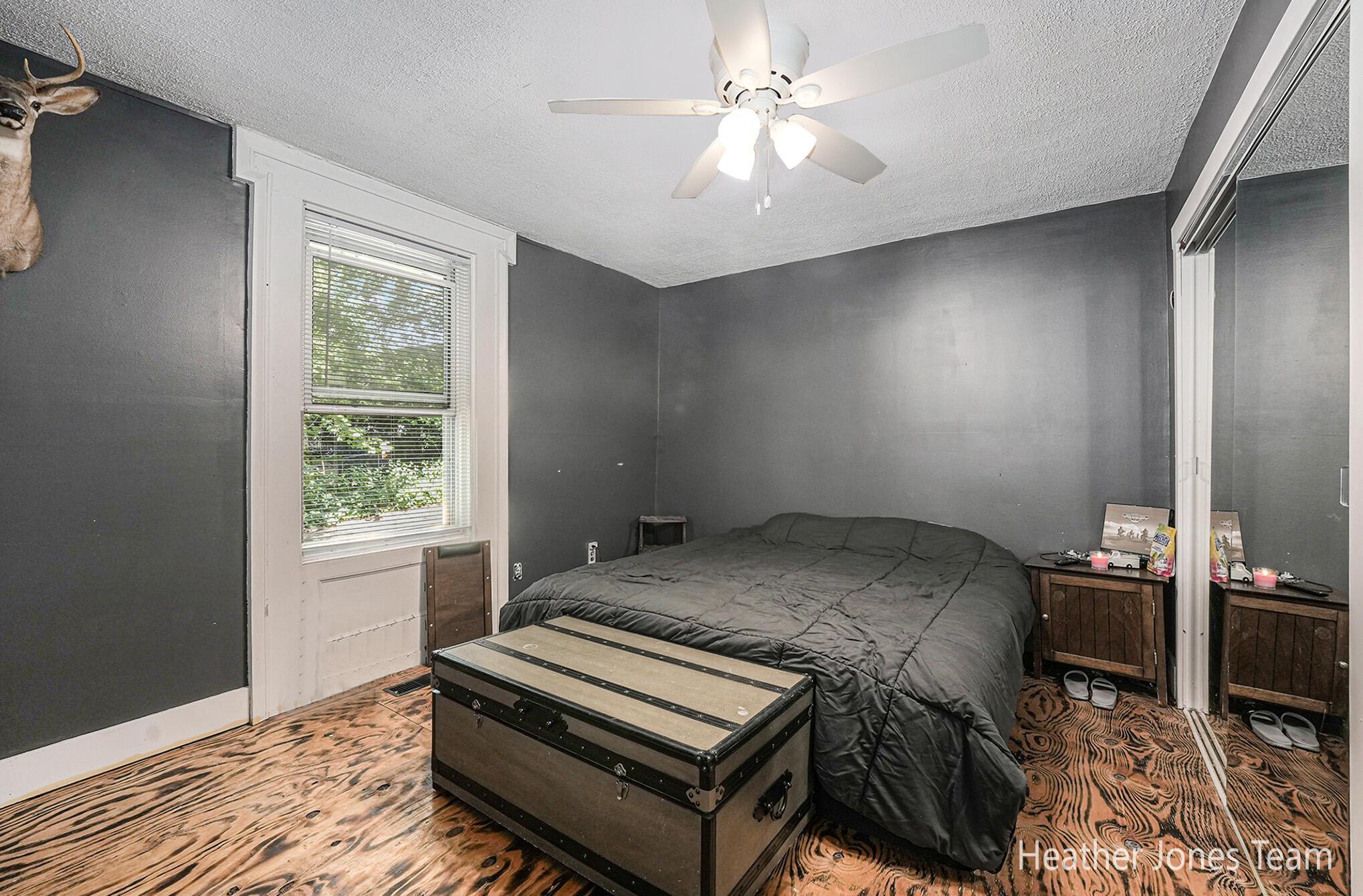 N Elizabeth St, Lyons, MI 48851
