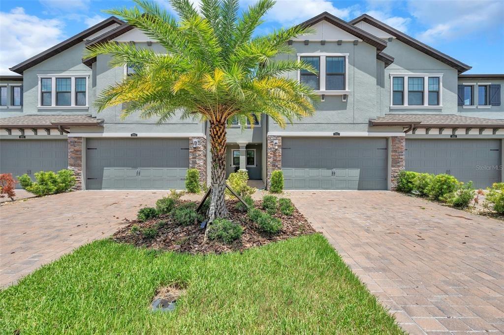 San Martino Dr, Wesley Chapel, FL 33543