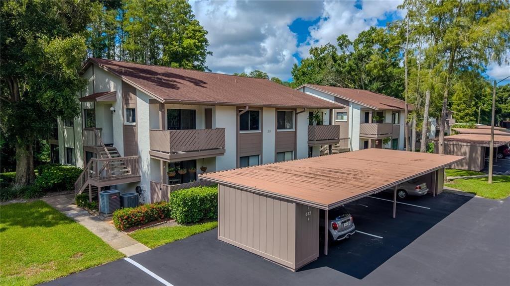 Baldwin Ave, Safety Harbor, FL 34695