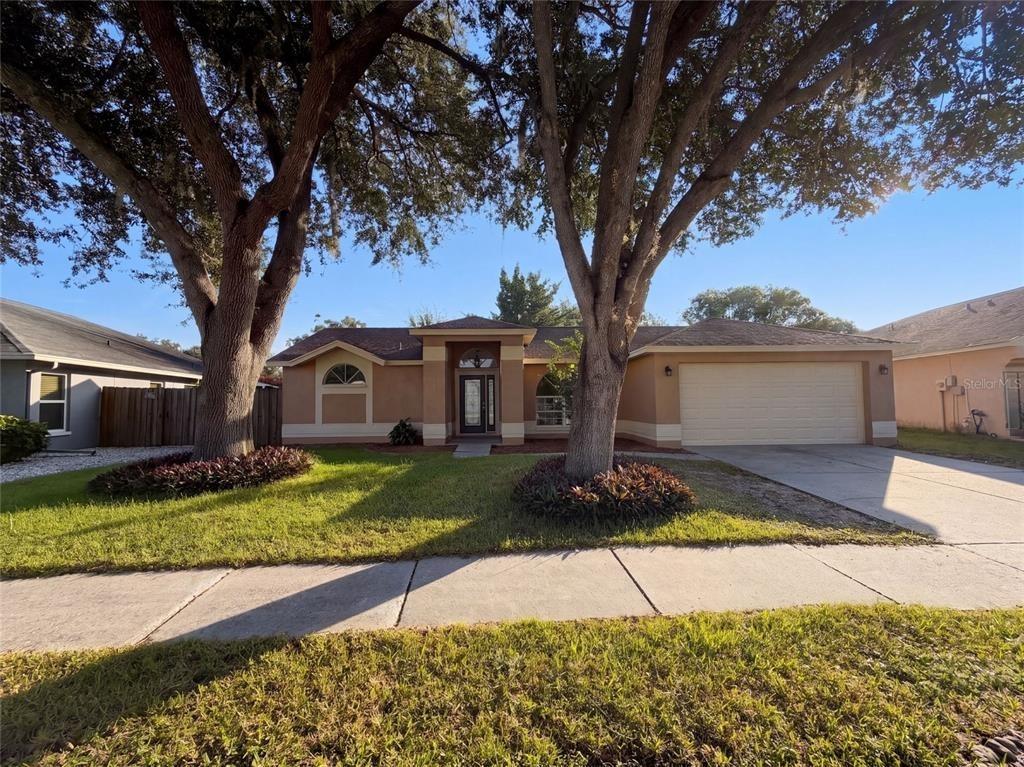 Foggy Ridge Pkwy, Land O Lakes, FL 34639
