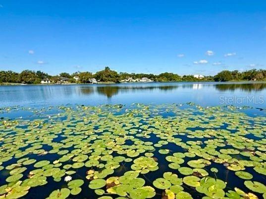 W Humphrey St, Tampa, FL 33614