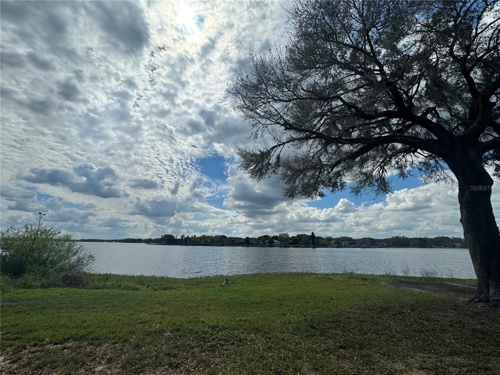 Callitris Ave, Polk City, FL 33868