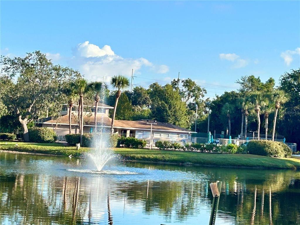 Spring Flower Dr, New Port Richey, FL 34653