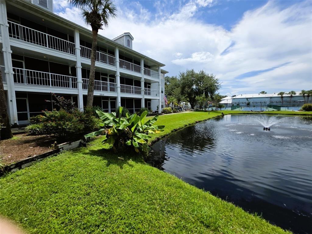 Vista Del Sol Cir, Lutz, FL 33558