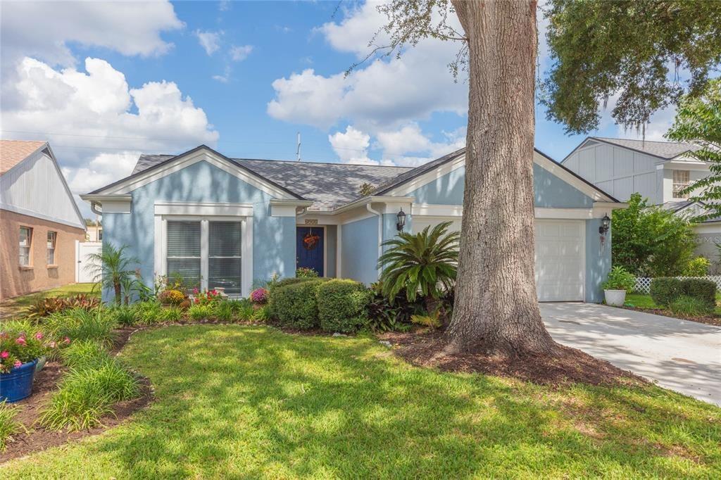 Cypress Trace Dr, Tampa, FL 33624