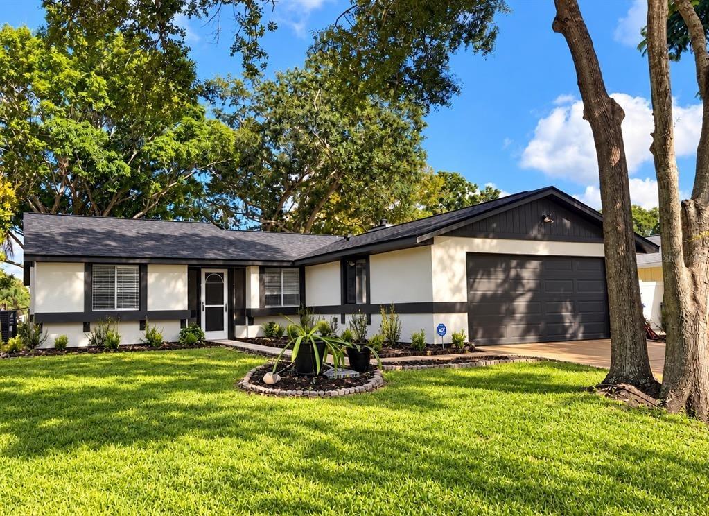 Timber Bay Cir W, Oldsmar, FL 34677