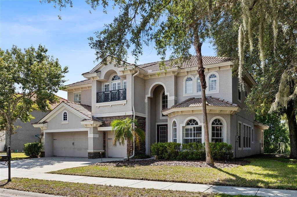 Creedmoor Ln, New Port Richey, FL 34654