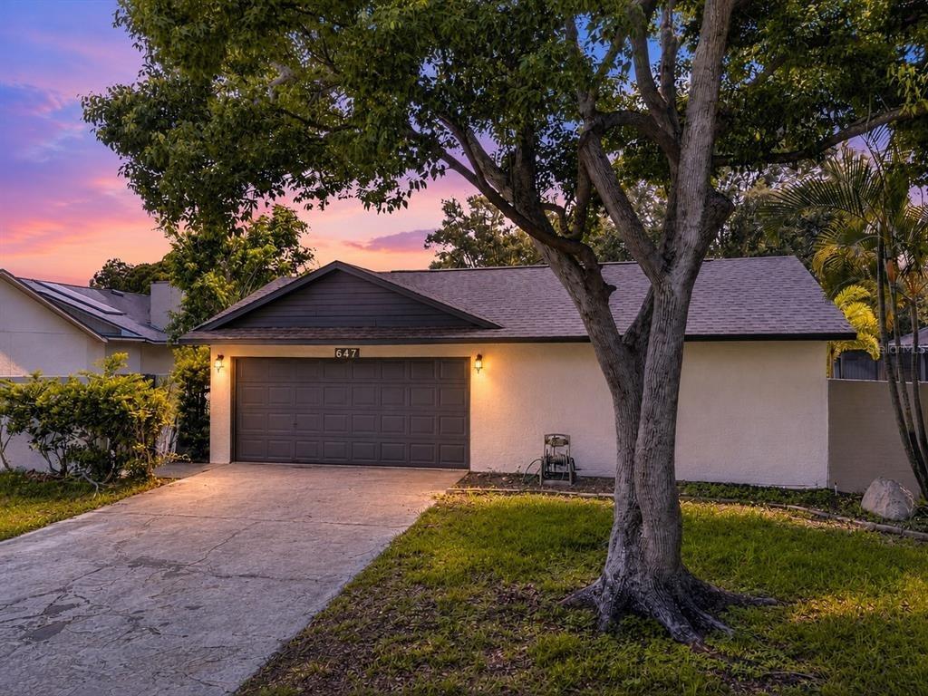 Bonnie Blvd, Palm Harbor, FL 34684