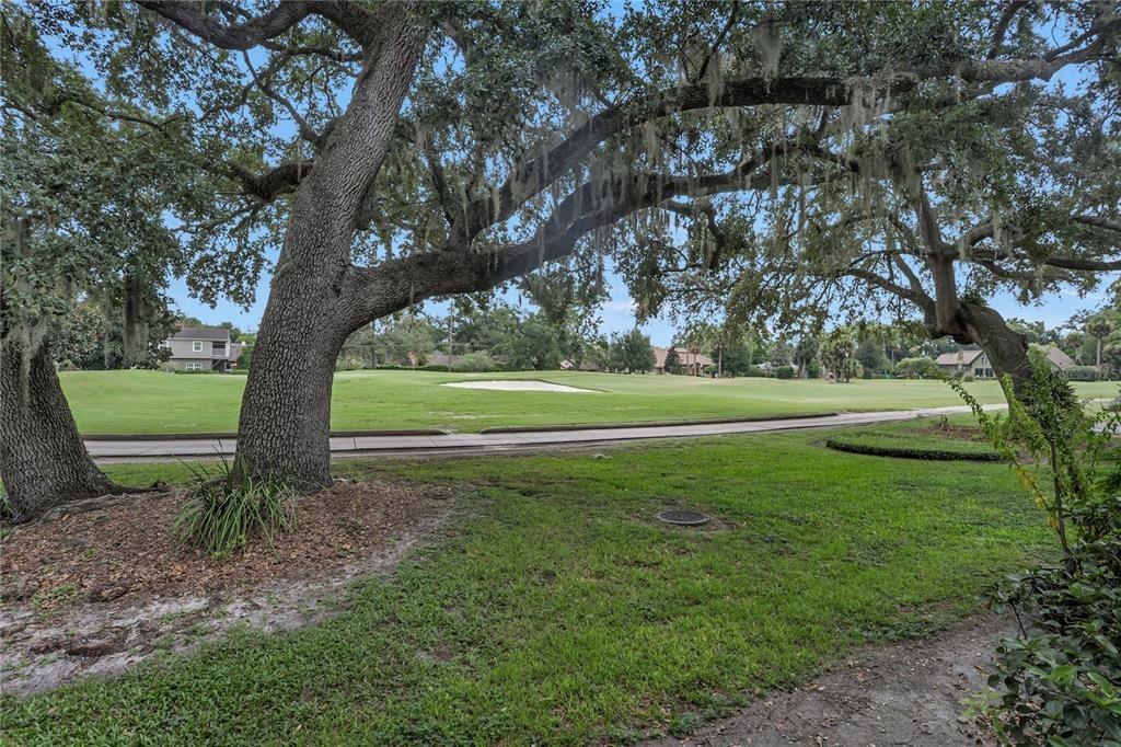 W Par St, Orlando, FL 32804