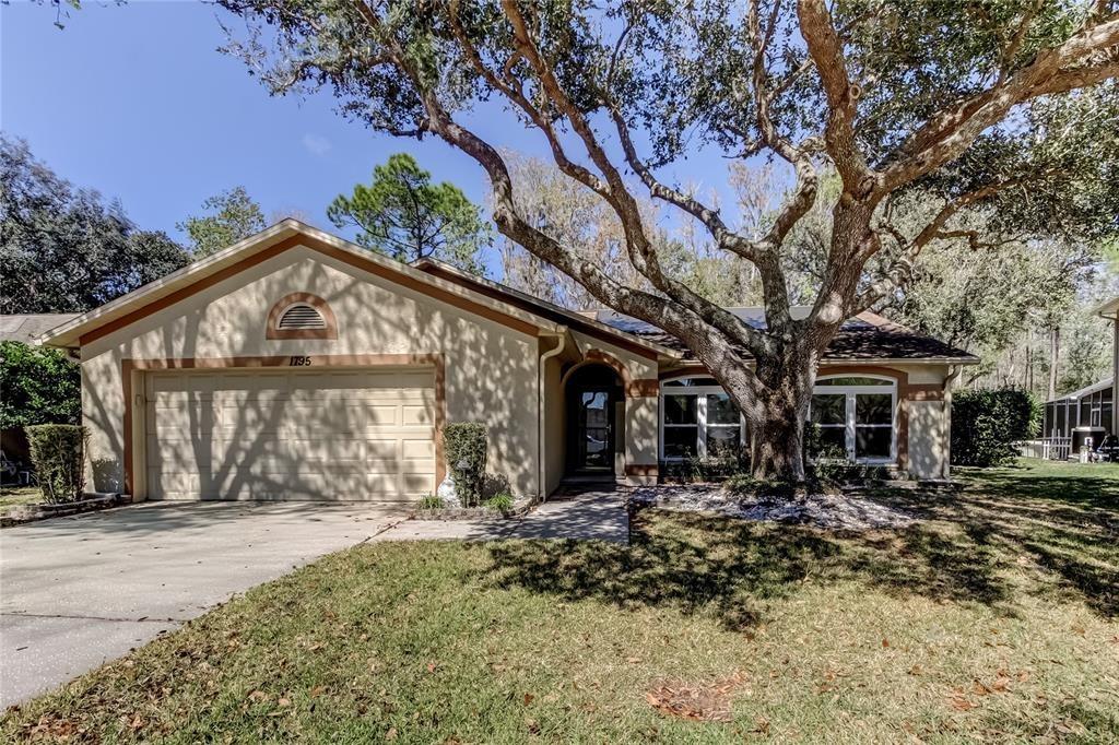Bayhill Dr, Oldsmar, FL 34677