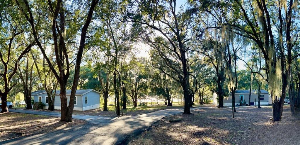 N Em En El Grove Rd, Leesburg, FL 34788