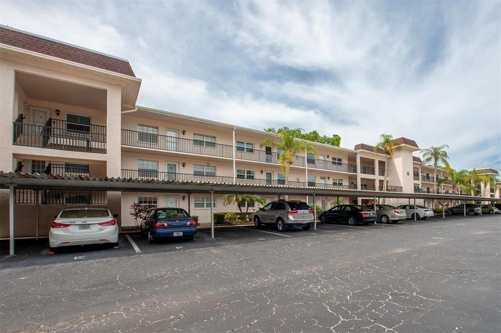 Maple Ct, Dunedin, FL 34698